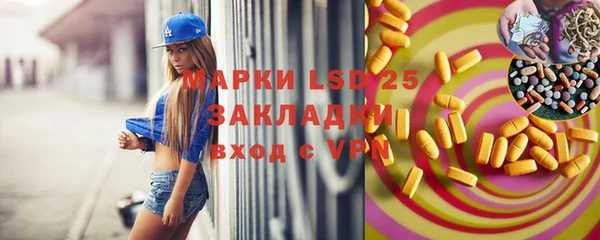 сатива Кулебаки