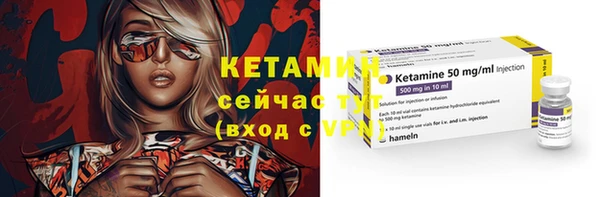 сатива Кулебаки