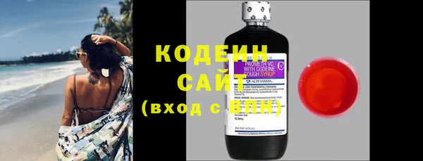 сатива Кулебаки