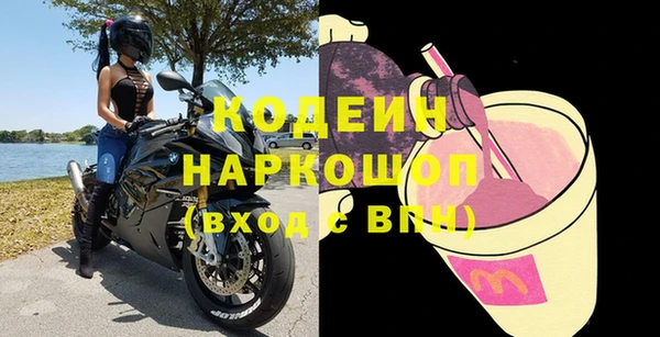 сатива Кулебаки