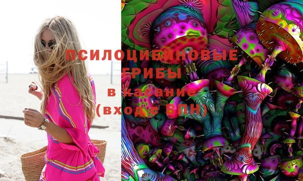 ECSTASY Кукмор