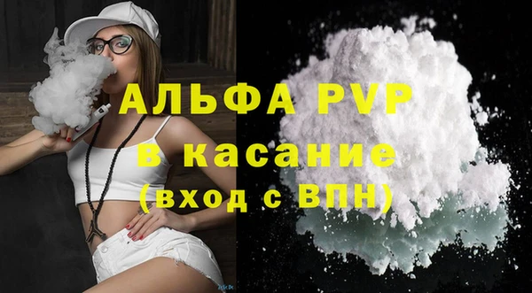 сатива Кулебаки