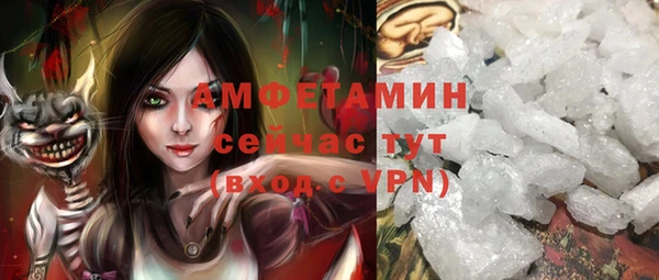сатива Кулебаки