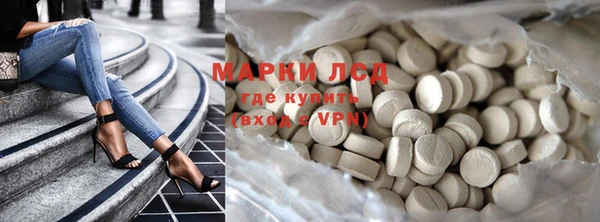 ECSTASY Кукмор