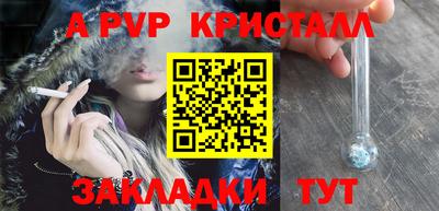 МДПВ Кингисепп