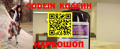 МДПВ Кингисепп
