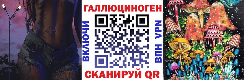 Галлюциногенные грибы Psilocybine cubensis  Самара 