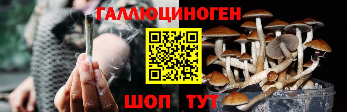 Самара  Галлюциногенные грибы MAGIC MUSHROOMS  Вход с VPN 